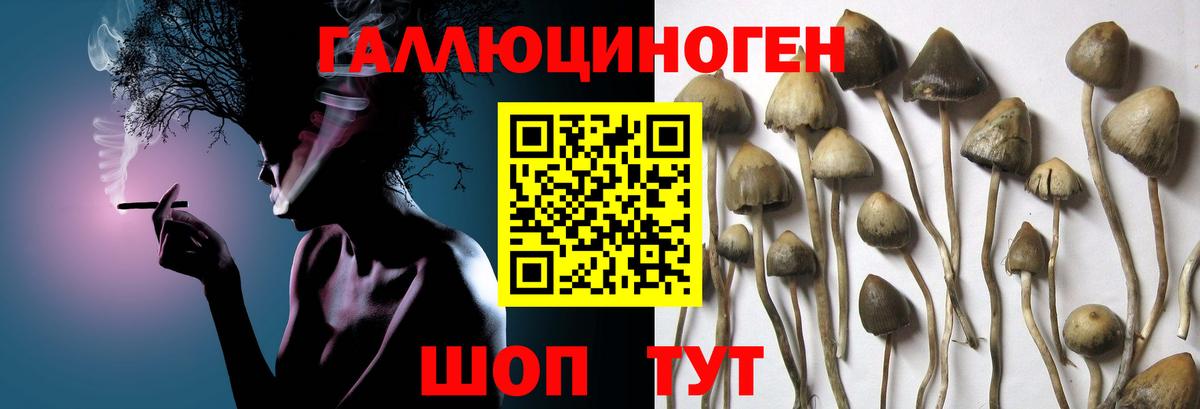 Галлюциногенные грибы мухоморы Озёры